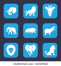 Safari icon. set of 9 filled safari icons such as giraffe, lion, hippopotamus