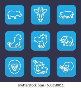 Safari icon. set of 9 outline safari icons such as giraffe, lion, hippopotamus