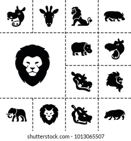 Safari icons. set of 13 editable filled safari icons such as hippopotamus, lion, giraffe