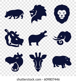 Safari icons set. set of 9 safari filled icons such as giraffe, hippopotamus, lion