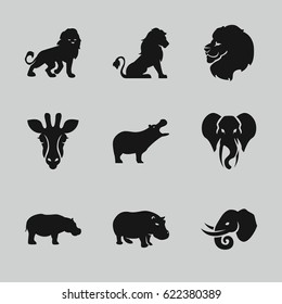 Safari icons set. set of 9 safari filled icons such as giraffe, lion, hippopotamus