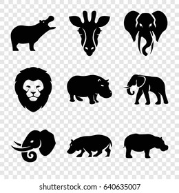 Safari icons set. set of 9 safari filled icons such as giraffe, lion, hippopotamus