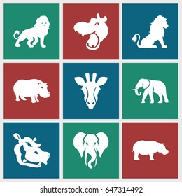 Safari icons set. set of 9 safari filled icons such as giraffe, lion, hippopotamus