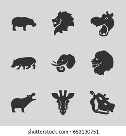 Safari icons set. set of 9 safari filled icons such as giraffe, hippopotamus, lion