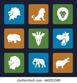 Safari icons set. set of 9 safari filled icons such as giraffe, lion, hippopotamus