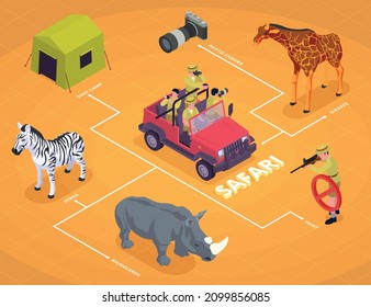 Safari isometric flowchart with photo camera giraffe zebra rhinoceros and hunt descriptions vector illustration