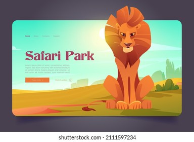 Safari park banner with cute lion in savannah. Vector landing page of nature park of wildlife with cartoon illustration of african savanna landscape with green grass and wild cat