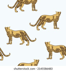 Safari seamless pattern with leopard on white background. Wildlife print. Vector nature illustration.