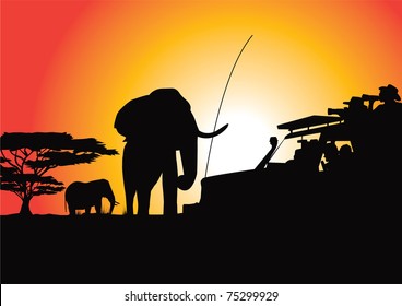 safari sunset photoshoot vector