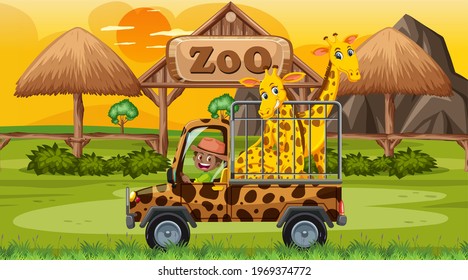 Safari at sunset time scene with giraffes in the cage car illustration
