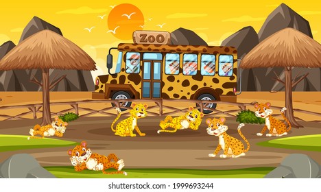 Safari at sunset time scene with many children watching leopard group illustration