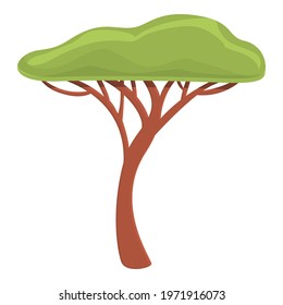 Safari tree icon. Cartoon of Safari tree vector icon for web design isolated on white background