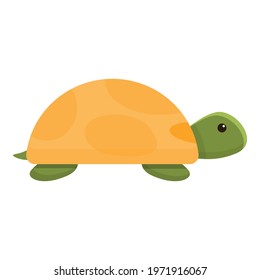 Safari turtle icon. Cartoon of Safari turtle vector icon for web design isolated on white background