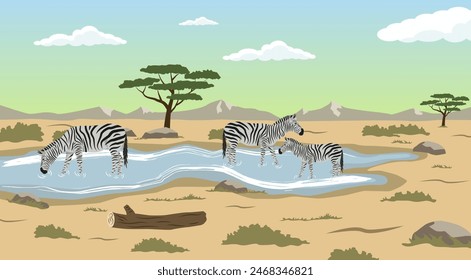 Safari vector. Zebras on the background of African nature. Nature safari. EPS 10.