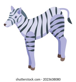 Safari zebra icon isometric vector. Africa animal. Jungle zebra