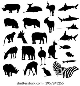 safari zoo animal silhouette set vector illustration