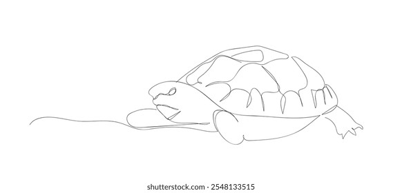 Safari zoo concept. Wild animal national park conservation. One continuous line drawing of big cute tortoise in Galapagos island.  Hand made vector not AI. 