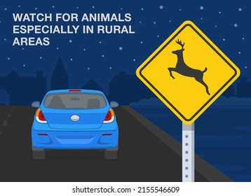 Safe car driving rules and tips. Watch for animals especially in rural areas at night. Night city road. Flat vector illustration template.