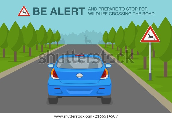 Safe car driving and traffic regulation\
rules. Car is reaching the animals crossing area. Road sign\
indicates to be alert and prepared to stop for wildlife crossing\
the road. Flat vector\
illustration.