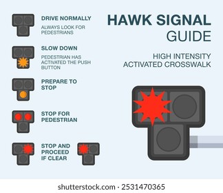 Consejos de conducción segura y reglas de regulación de tráfico. Guía de señal de paso de peatones activado de alta intensidad (halcón). Plantilla de Ilustración vectorial plana.