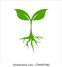 Juego de iconos verde y tierra seguro