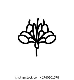 Safflower flower icon. Simple line, outline vector elements of botanicals icons for ui and ux, website or mobile application
