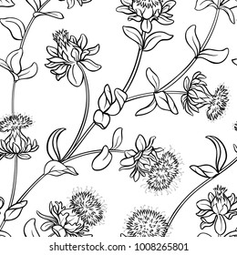 safflower seamless pattern