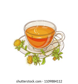 Safflower Tea Illustration