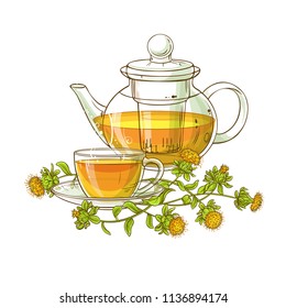 Safflower Tea Vector Illustration