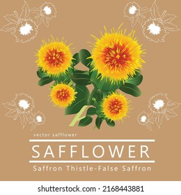 Safflower vector has both line and color vectors.