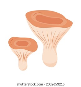 Saffron cap mushroom in flat style. Hand drawn vector illustration of edible wild forest mushroom. Autumn symbol, organic food icon. Isolated element for design
