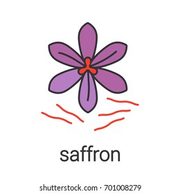 Saffron Color Icon. Crocus. Isolated Vector Illustration