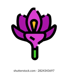 Saffron crocus flower displaying its vivid purple petals and golden stigma, presented as a stylized vector illustration, representing natural beauty, spices, and botany
