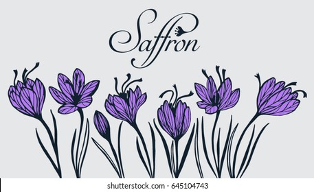 Saffron Flower