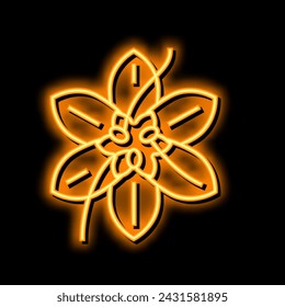 saffron flower bud neon light sign vector. saffron flower bud illustration