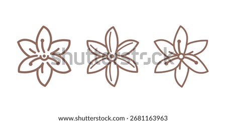 Saffron flower. Contour vector illustration for packaging, corporate identity, labels, postcards, invitations.