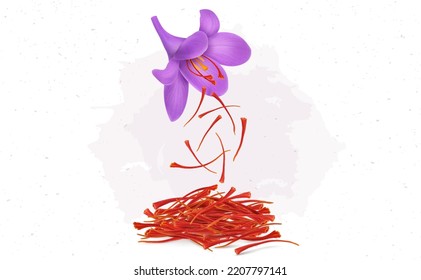 Saffron flower and dried saffron vector illustration isolated on white background