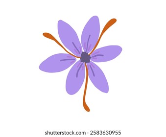 Saffron Flower Hand Drawn Illustration. Saffron Pestles and Violet Crocus Flower.