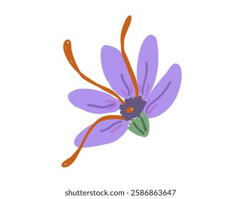 Saffron Flower Hand Drawn Illustration. Saffron Pestles and Violet Crocus Flower.	