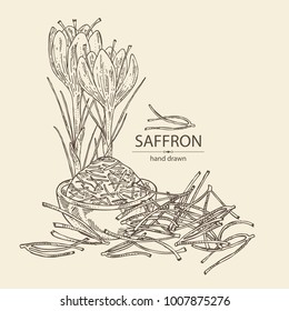 Saffron: flower and saffron stamens. Vector hand drawn illustration.