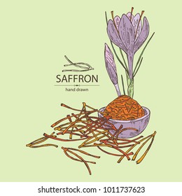 Saffron: flower and saffron stamens. Vector hand drawn illustration.