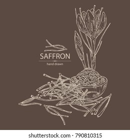Saffron: flower and saffron stamens. Vector hand drawn illustration.