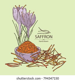 Saffron: flower and saffron stamens. Vector hand drawn illustration.