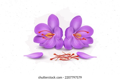 Saffron flower vector illustration with saffron-dried leaves and flower petals