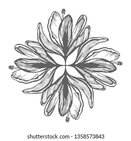 saffron flowers illustration pattern vector