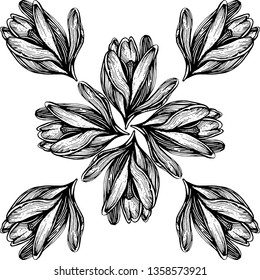 saffron flowers illustration pattern vector