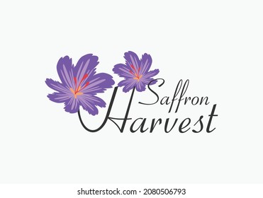 Saffron Harvest Logo Design Inspirations