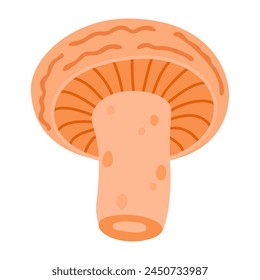 Safranmilchkappe. Essbare Waldpilz-Flachsymbol. Handgezeichnete köstliche Milchmütze Cartoon-Stil. Pilzgruppe eingraviert. Roter Kiefernpilz isoliert auf weißem Hintergrund. Vektorillustration