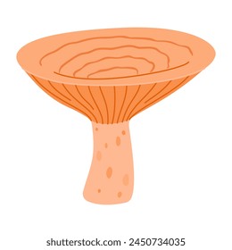 Saffron milk cap. Edible forest mushroom flat icon. Hand Drawn delicious milk cap cartoon style. Fungus Group Engraved. Red pine mushroom Isolated on white background. Vector illustration