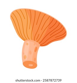 Saffron milk cap edible forest mushroom icon. Hand drawn trendy flat style delicious milk cap. Lactarius deliciosus fungus group engraved. Vector illustration Isolated